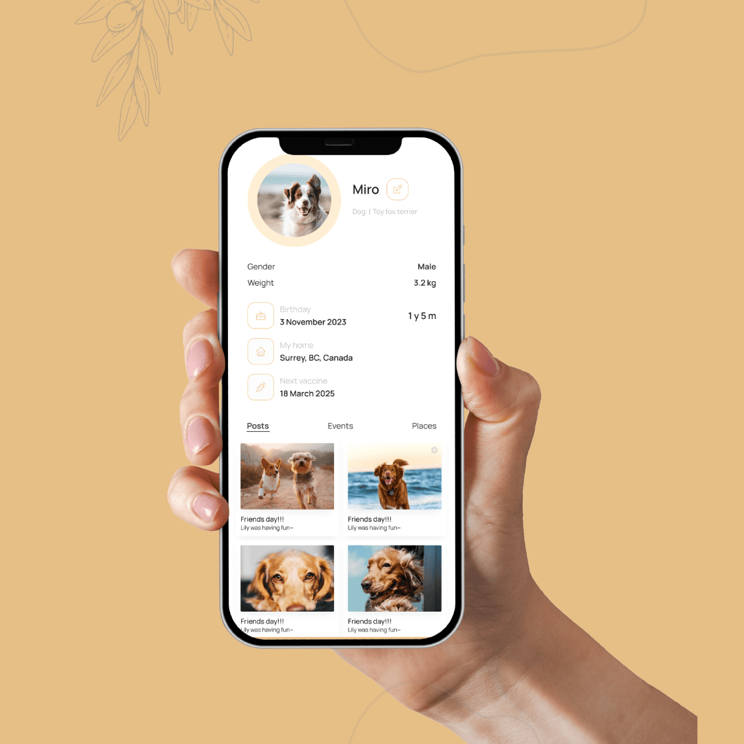 Happy pets with technology